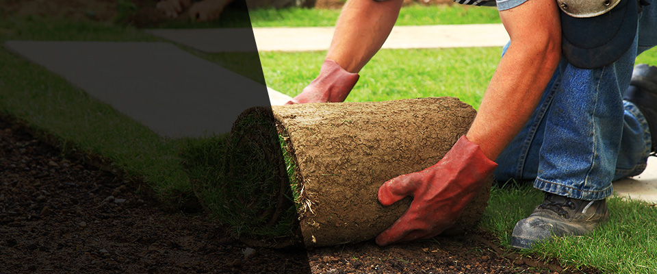 Palos Park Landscapers